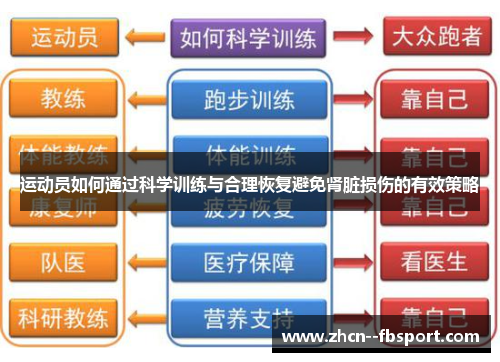 运动员如何通过科学训练与合理恢复避免肾脏损伤的有效策略 运动员如何通过科学训练与合理恢复避免肾脏损伤的有效策略